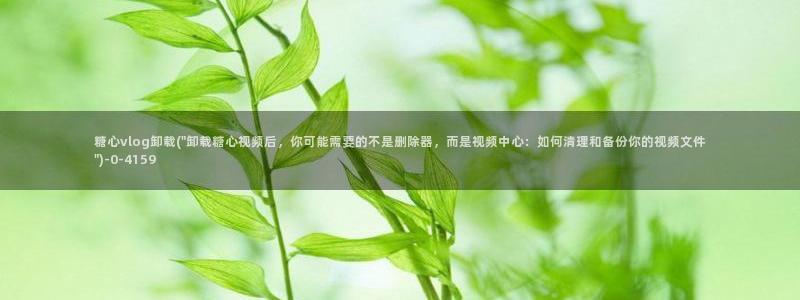 糖心vlgo安安老师