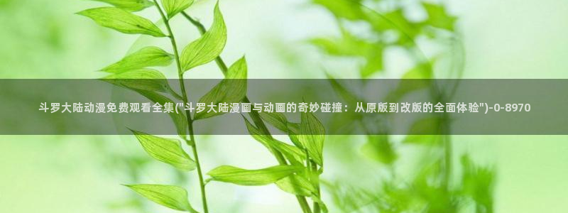 动漫杂谈