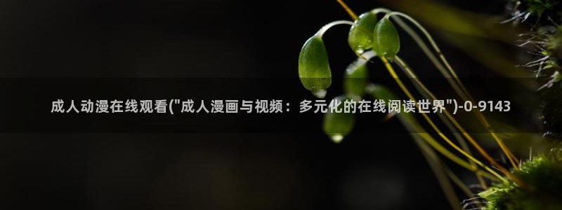 风车动漫