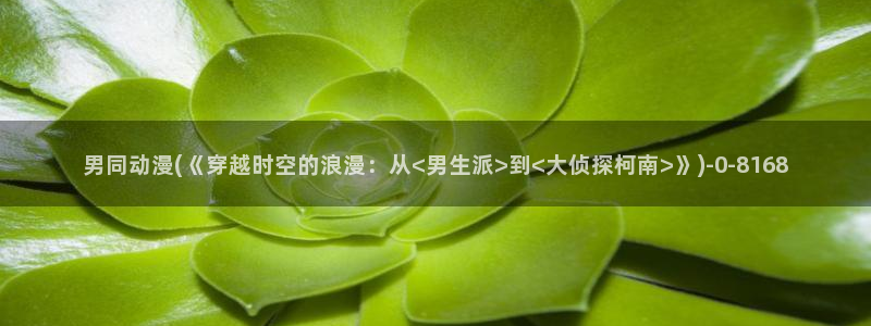 成人动漫在线观看