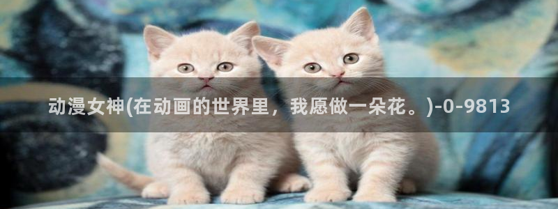 h动漫在线看