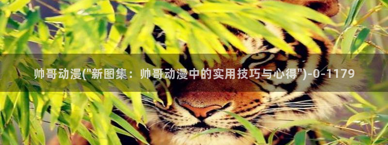 日本动漫排行榜