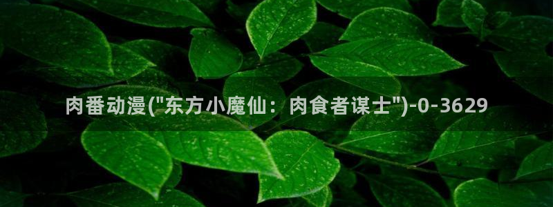 动漫日记