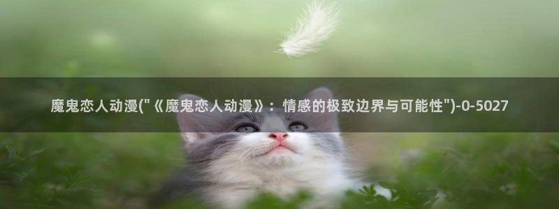 万有引力动漫