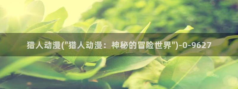动漫网